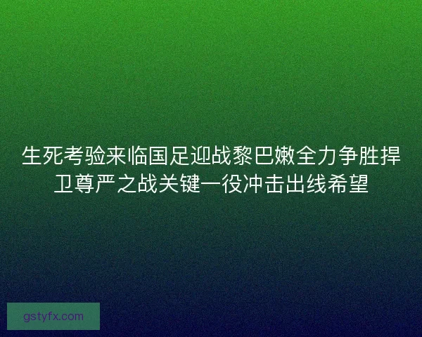 生死考验来临国足迎战黎巴嫩全力争胜捍卫尊严之战关键一役冲击出线希望