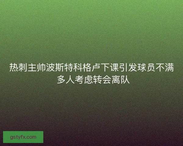 热刺主帅波斯特科格卢下课引发球员不满 多人考虑转会离队